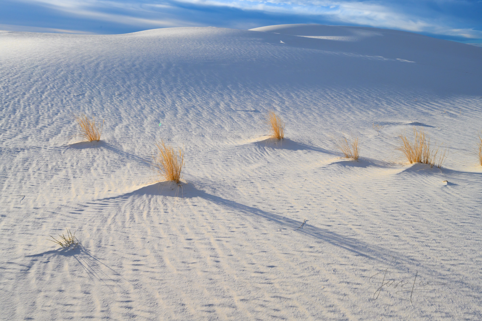 White Sands National Park Sand Dune Picture