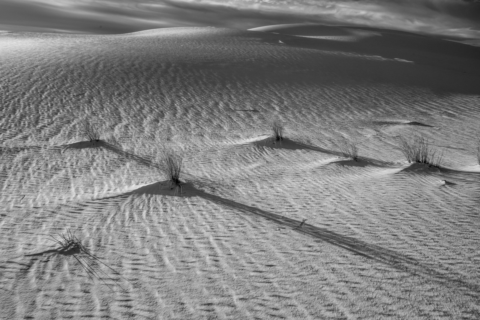 White Sands National Park Sand Dune Picture