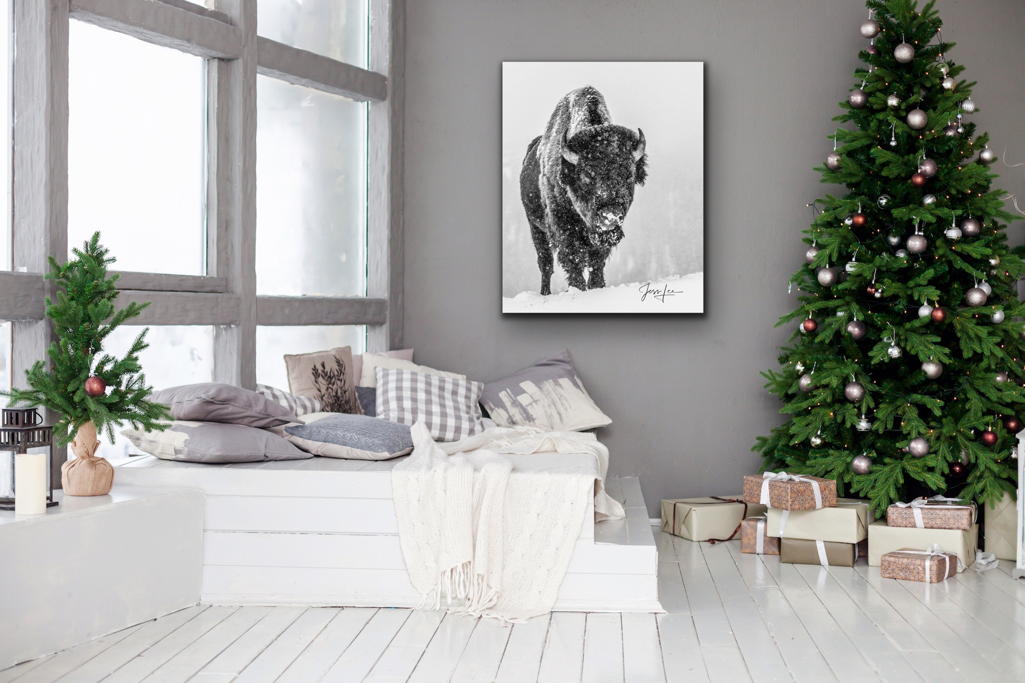 Bison Wall Art Print Elegant winter Bison Photography Prints. Pictures are available as Acrylic, Metal, Canvas, or Fine Art Paper limited edition...
