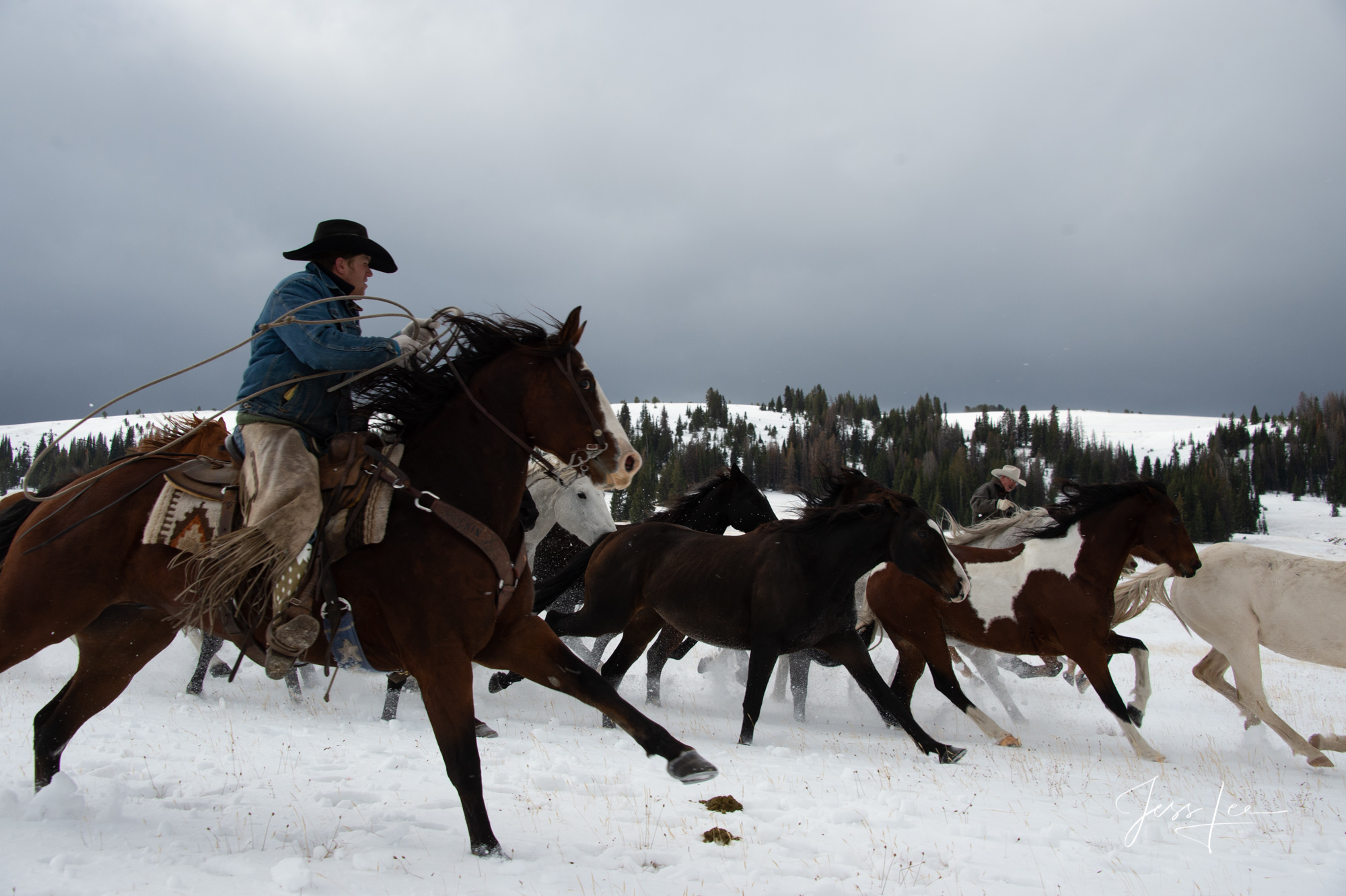 Winter Wrangler Fine Art Limited Edition Photography of Cowboys, Horses and life in the West. Cowboy wrangler gathering horses to bring them...