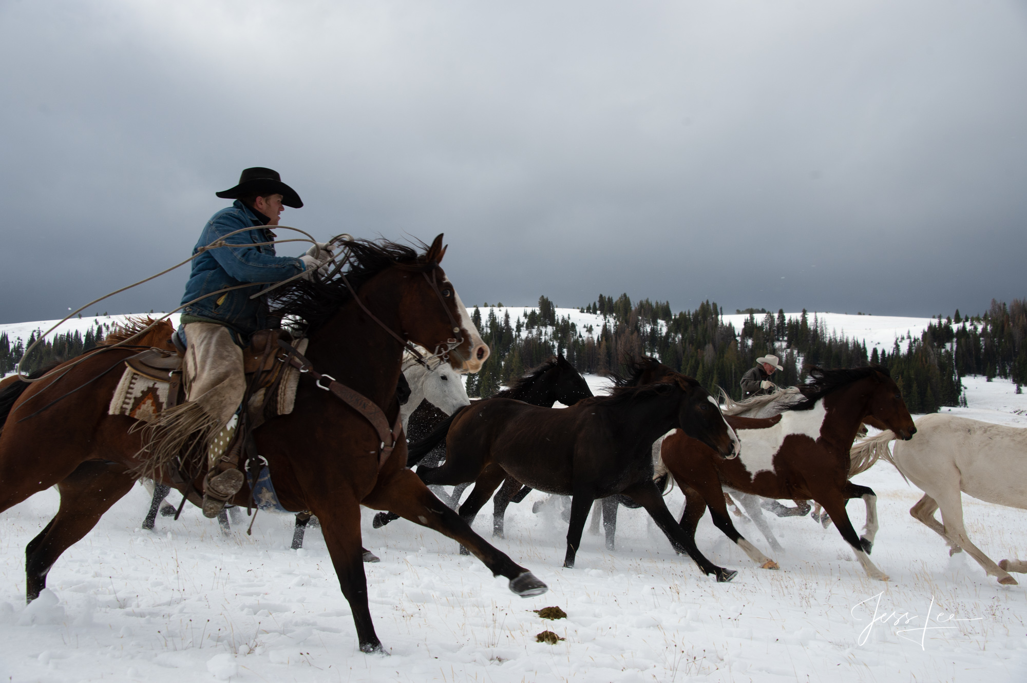 Fine Art Limited Edition Photography of Cowboys, Horses and life in the West. Cowboy wrangler gathering horses to bring them...