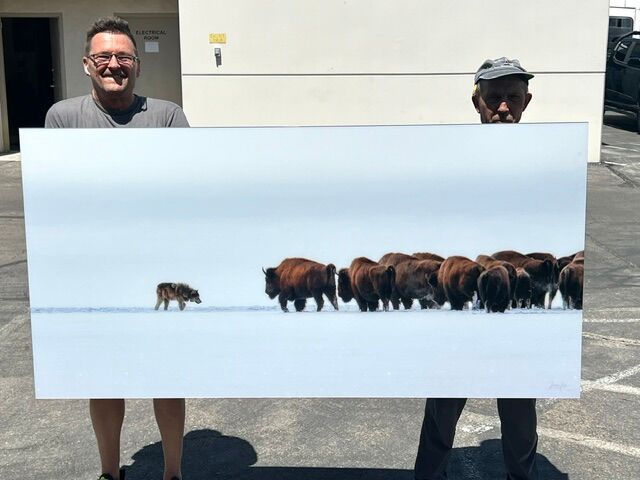 36x72 Woolf and Bison