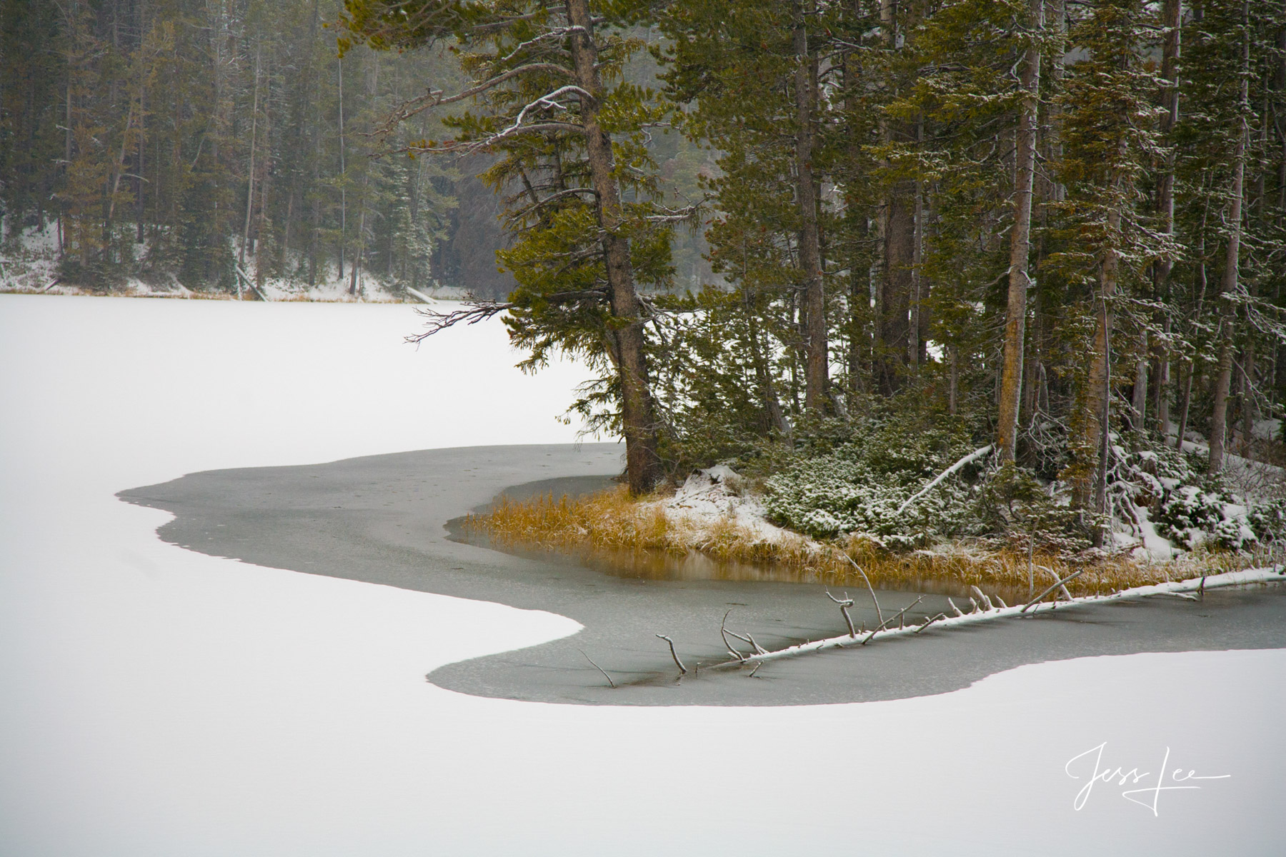 Spring is coming Silvan Lake, Yellowstone National Park Spring snow melt photography print.