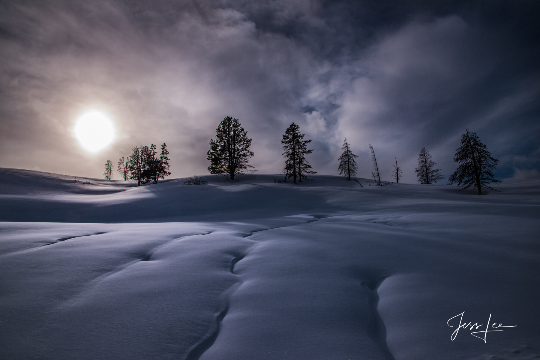 Winter Sun on a tree lined ridge in Hayden Valley Limited Edition of 50 Exclusive high-resolution Museum Quality Fine Art Prints of the weak winter sun slowy melting the open...